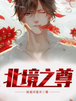 北境之尊林阳
