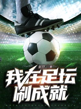 我在足坛刷成就TXT下载