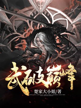 武破巅峰全文免费阅读