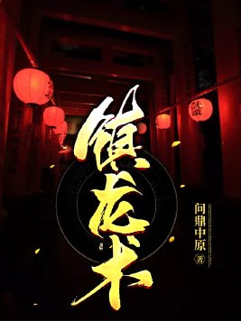 镇龙术有声小说