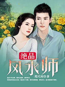绝品风水师TXT下载