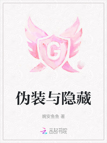 伪装隐藏式摄像头专卖