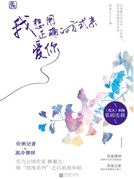 我想用正确的方式来爱你 小说