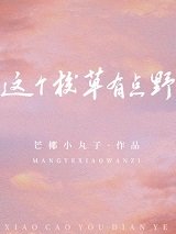 这个校草有点野这本书讲了什么