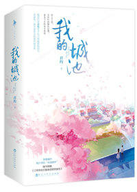 我的城池小说