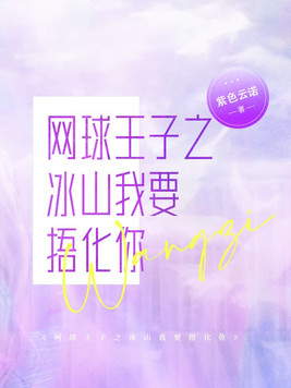 网球王子冰山是谁