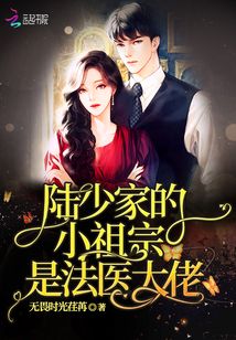 陆少家的小祖宗是法医大佬免费阅读