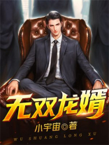 无双龙婿 小说