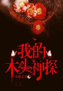 我的木头神探百度云