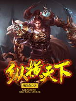纵横天下网游小说
