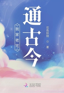 开局破产继承老宅系统的小说