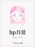 hp吾爱