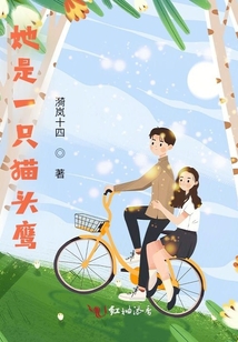 捡到一只猫头鹰怎么办