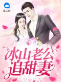 冰山老公宠妻如命电视剧