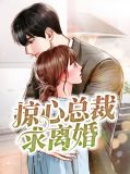 总裁后悔离婚求复合