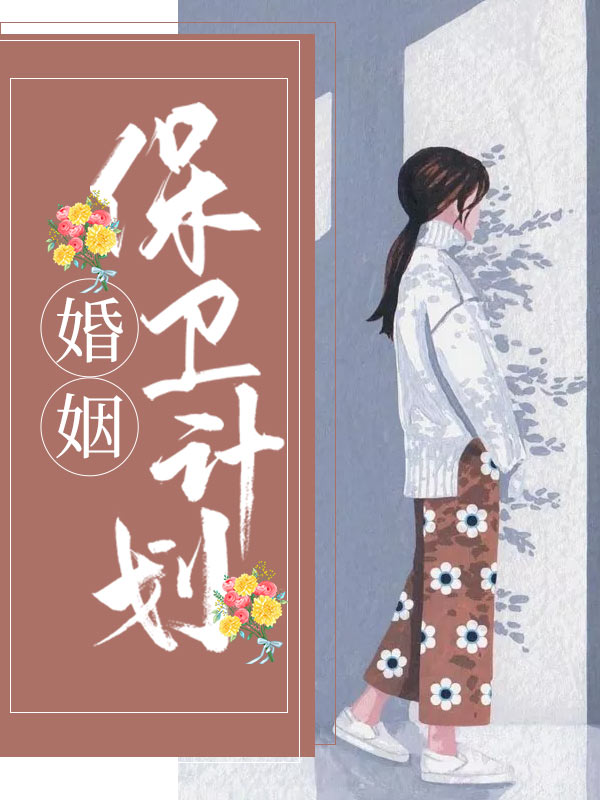 婚姻保卫计划小说