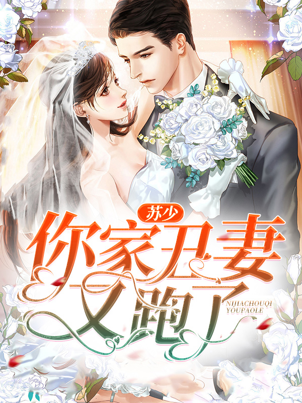 苏少你老婆又闹离婚了
