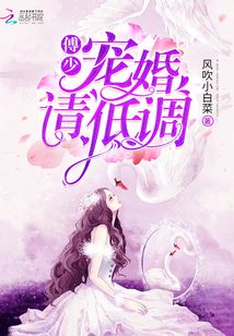 傅少宠婚请低调 小说