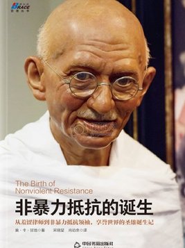 南非暴力抗议原因