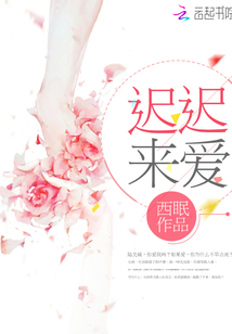 迟迟的爱