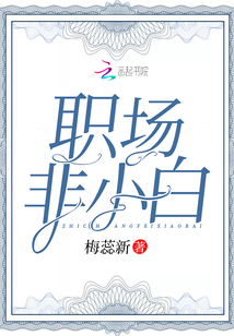 职场小白到什么的转变