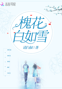 白色槐花