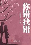 你错我错