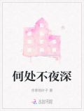 何处不夜深