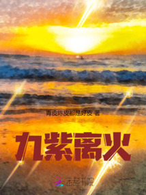 九紫离火运最旺的行业