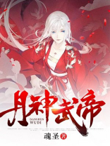丹神武帝魂圣TXT下载