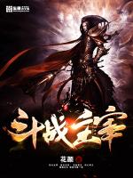斗战主宰2完结