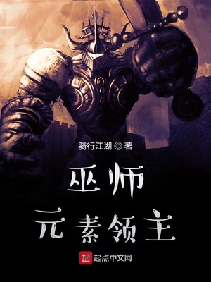 巫师:元素领主精校版TXT下载