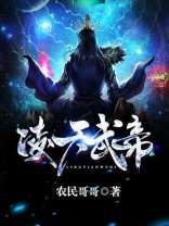凌天武帝秦初白羽 小说