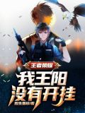 王者荣耀:我王阳没有开挂