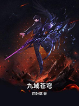苍穹九逆