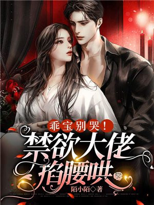 《乖,别闹》小说