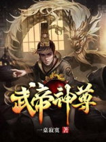 武帝神尊 叶辰