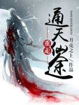 小说通天仙路