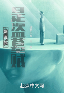 听说我是盗墓贼 小说