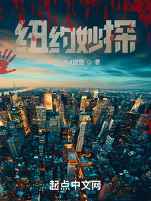 纽约探案