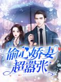 偷心俏冤家小说