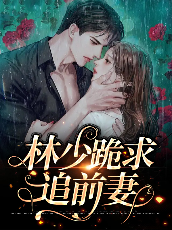林少宠妻夫人