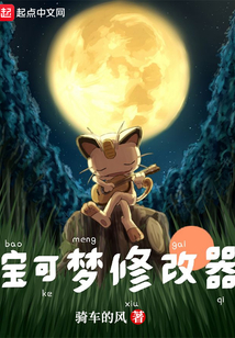 nds宝可梦修改器