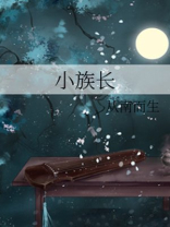 小族长 小说