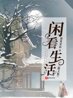 我的流浪生活散文集