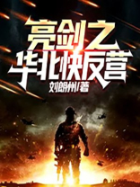 亮剑之华北快反营下载