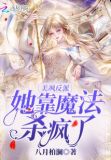 美飒反派她靠魔法杀疯了