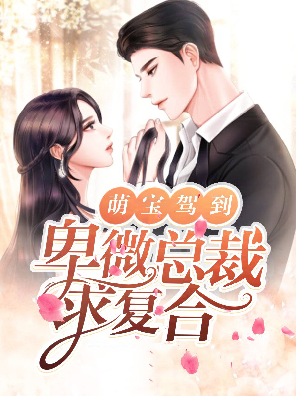萌宝驾到高冷总裁缠上门免费阅读