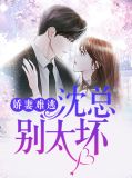 娇妻难训盛总请离婚