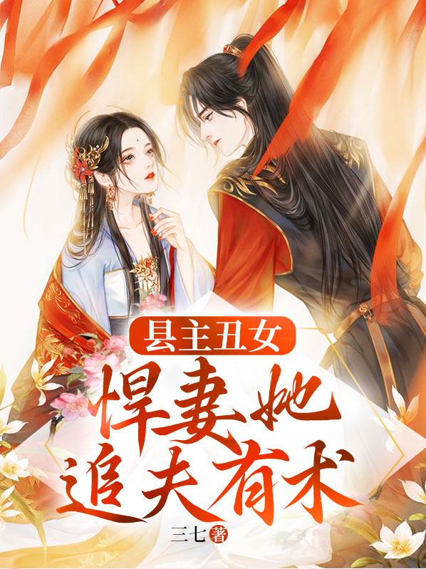 县令的丑妻小说